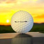Återvunnen golfboll i vit färg av modellen titleist dt solo fotad bakifrån