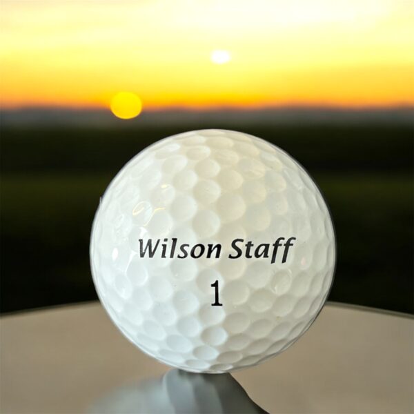 Återvunnen golfboll i vit färg av modellen Wilson FG Tour fotad framifrån