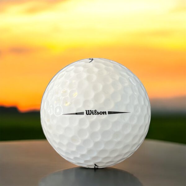 Återvunnen golfboll i vit färg av modellen Wilson tour velocity fotad bakifrån